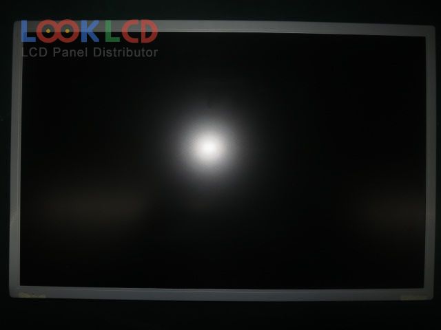 HSD170MGW1-B01