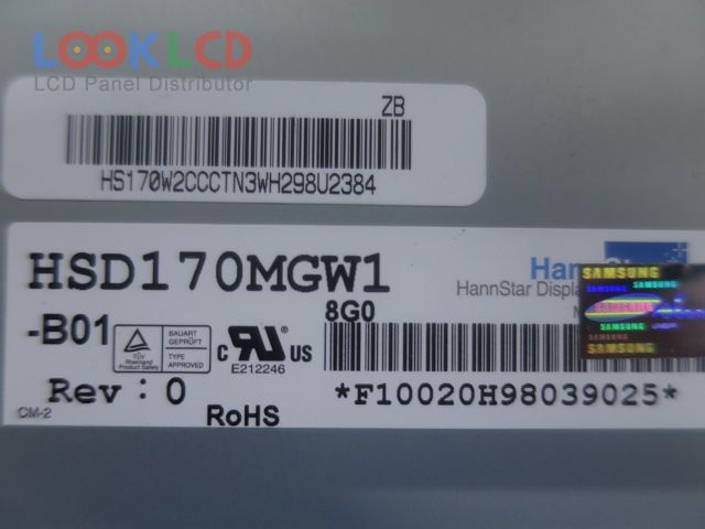 HSD170MGW1-B01